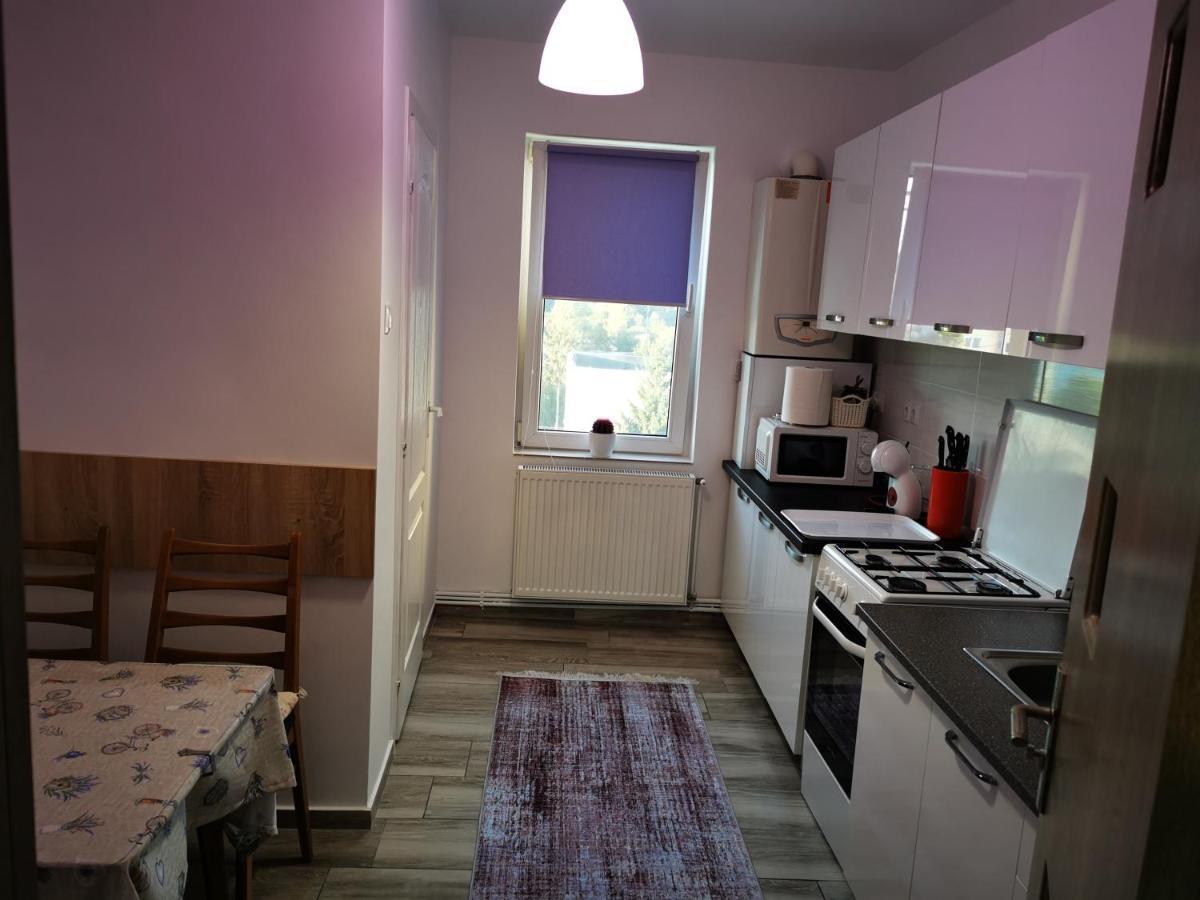 Violet Residence Targu-Mures Bagian luar foto